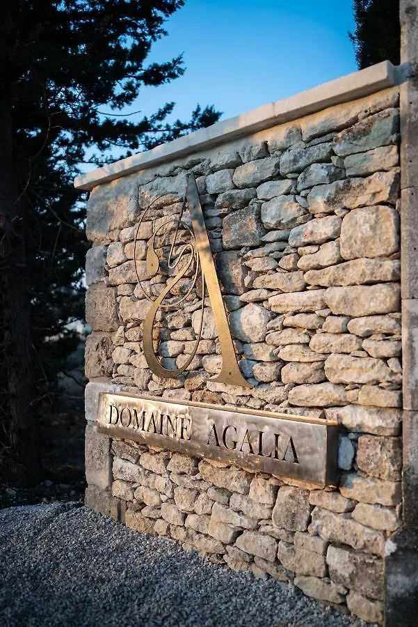 Domaine Agalia & Spa - Les Collectionneurs L'Isle-sur-la-Sorgue