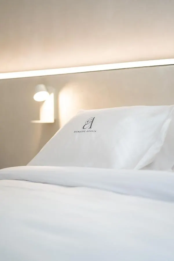 Guest house Domaine Agalia & Spa - Les Collectionneurs L'Isle-sur-la-Sorgue France