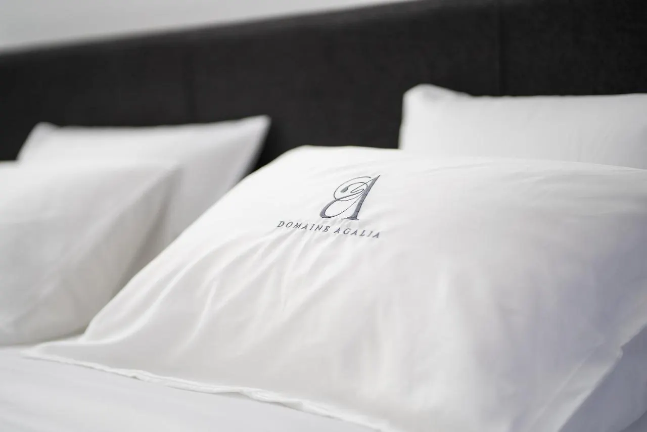 Domaine Agalia & Spa - Les Collectionneurs L'Isle-sur-la-Sorgue Guest house